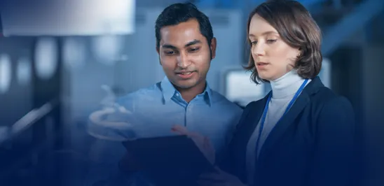 IT consulting services