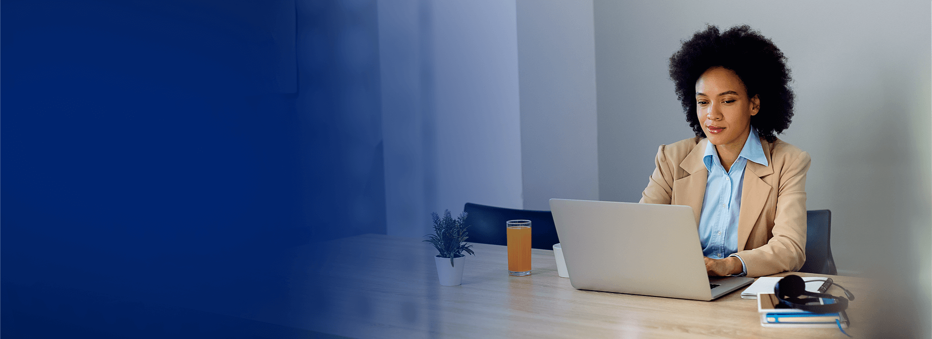 Flutter project delivery visual